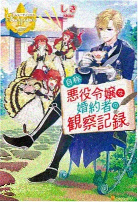 第七次变身 魔法少女动画封面